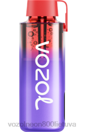 VOZOL Vape Lietuva - VOZOL NEON 10 000 gervuogių ledų B24DT242