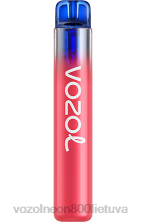 VOZOL Skoniai - VOZOL NEON 800 braškių aviečių vyšnių B24DT257 VOZOL Skoniai - VOZOL NEON 800 braškių aviečių vyšnių B24DT257