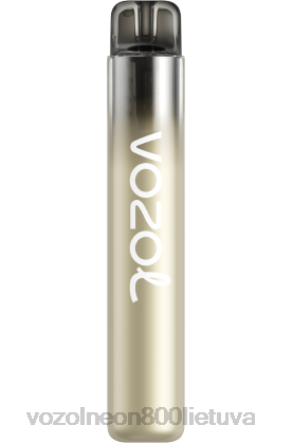 VOZOL Vape Lietuva - VOZOL NEON 800 bananų ledas B24DT262