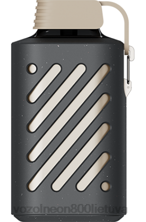 VOZOL Vape Lietuva - VOZOL GEAR 10 000 persikų mango kokteilis B24DT302 VOZOL Vape Lietuva - VOZOL GEAR 10 000 persikų mango kokteilis B24DT302
