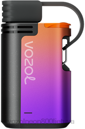 VOZOL Vape Kaina - VOZOL GEAR 4000c/6000 vynuogių ledas B24DT325