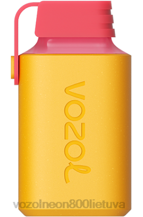 VOZOL Skoniai - VOZOL GEAR 600 vyšnių persikų citrina B24DT347