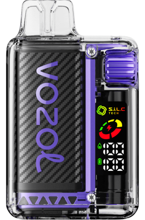 VOZOL Vape Kaina - VOZOL VISTA 16000/20000 vynuogių ledas B24DT5